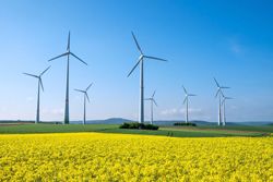 Tener energías renovables Campo eólico