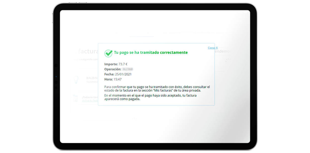 Pagar Factura Energía XXI