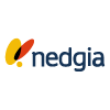 logo de Nedgia