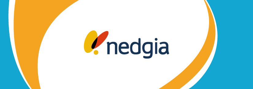 Logo de Nedgia