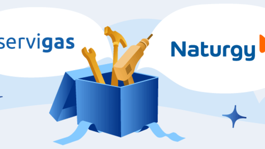 Servicio de mantenimiento Servigas